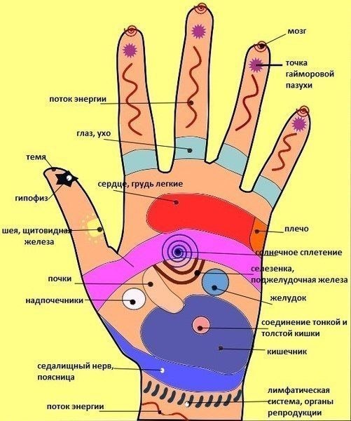 Массируя акупунктурные, или биологически активные, точки на своей руке, можно активизировать работу защитных сил организма и улучшить состояние здоровья. 