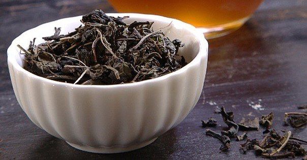 Иван-чай – Полезные свойства