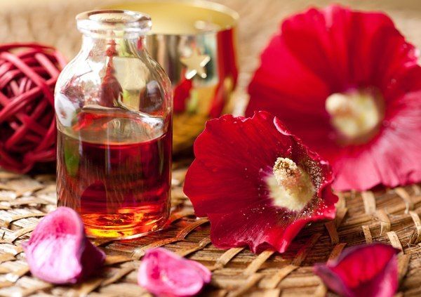10 неожиданных фактов о самых полезных запахах