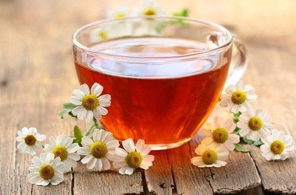 Травяные, цветочные и ягодные чаи – когда их пить и чем они полезны?